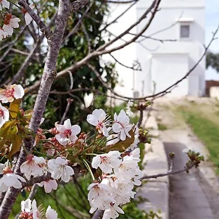 La Casa Sul Poggio-valle D'itria *
